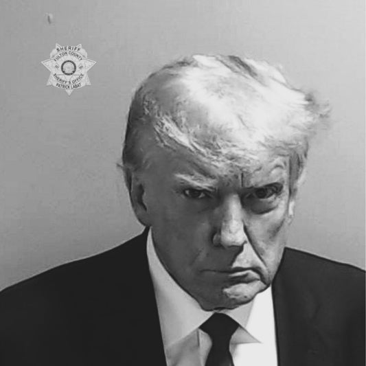 The Mugshot of a President: The Story Behind Donald Trump's Infamous Photo